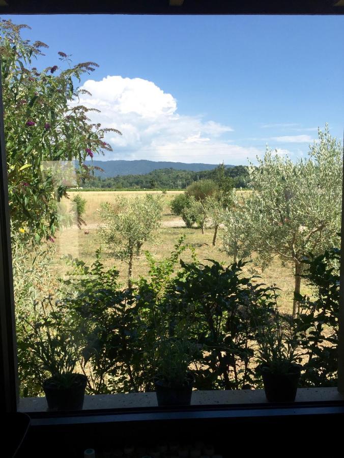 Villa Spacieuse Avec Terrasse Et Vue Mont Ventoux Entrechaux Buitenkant foto